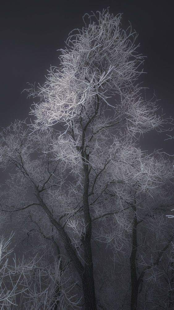 Photograph by Leanid Kulpo
