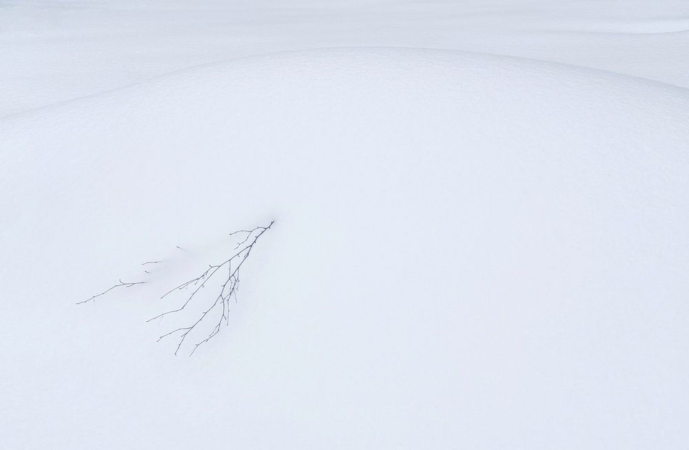 Photograph by Leanid Kulpo