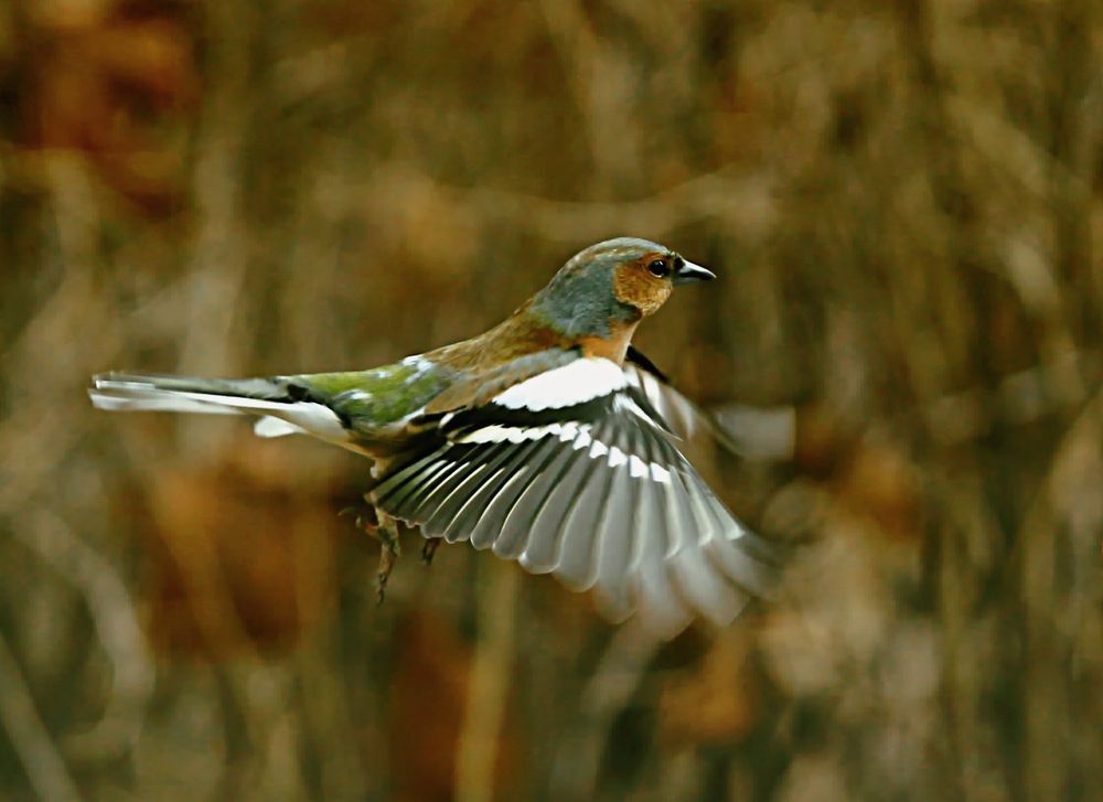 Photograph by Татьяна Слесарева