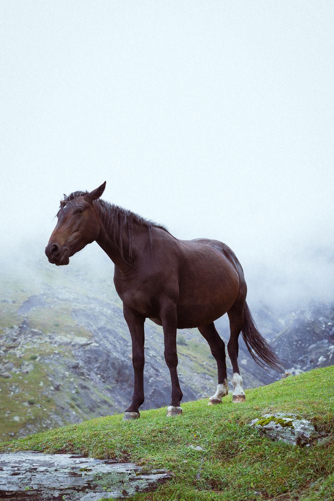 Photograph by Мартынова Татьяна