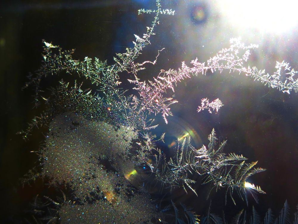 Photograph by Елена