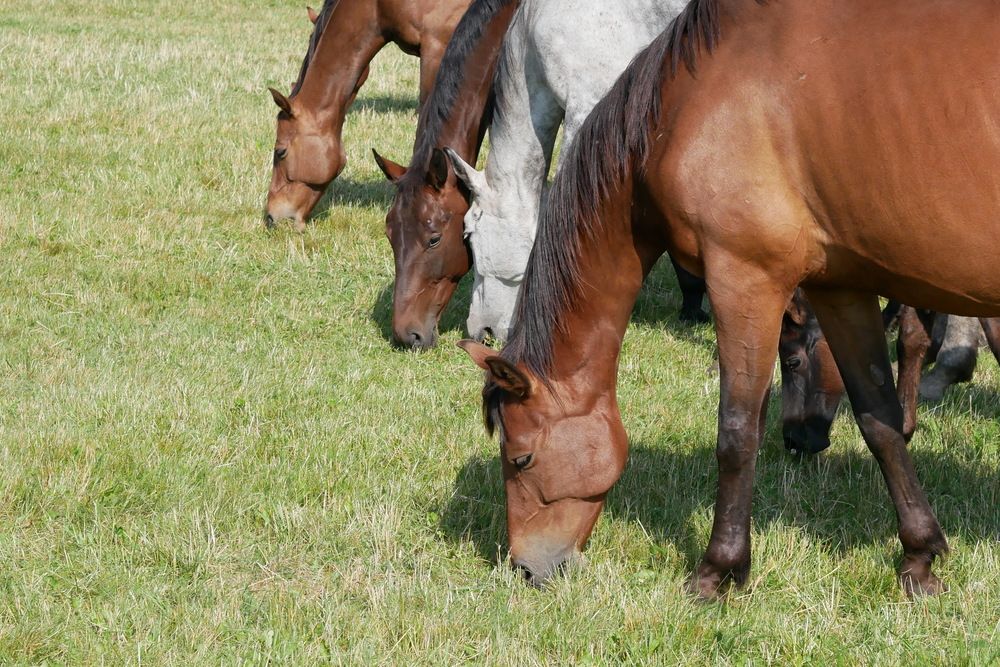 Фотография автора Владимир Лобанов