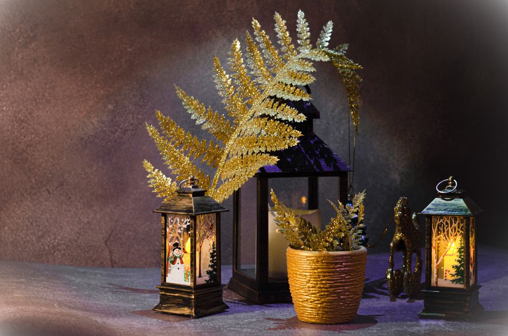 Фотография автора Анна Потапова