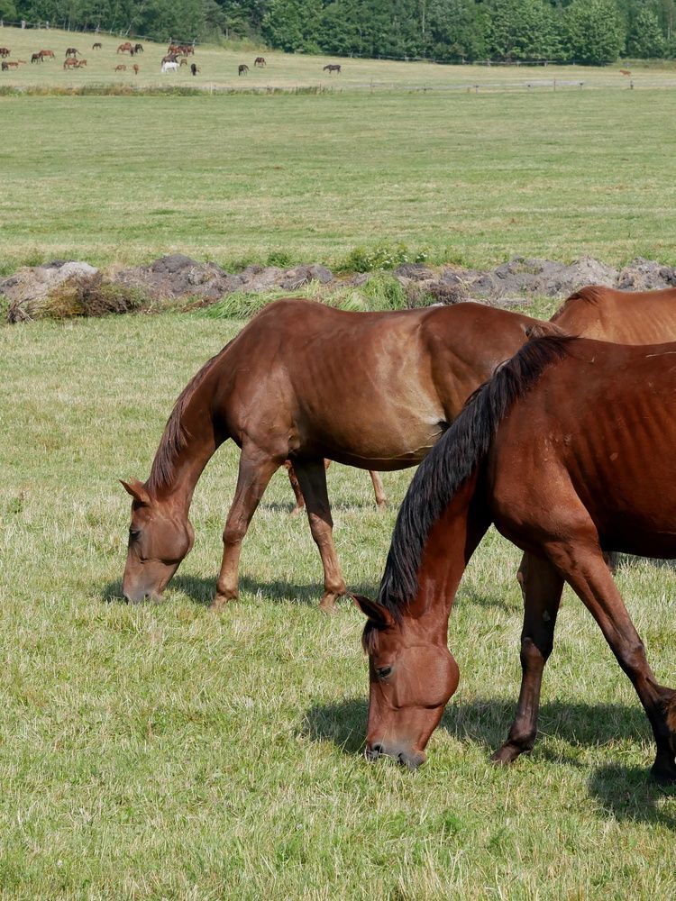 Фотография автора Владимир Лобанов