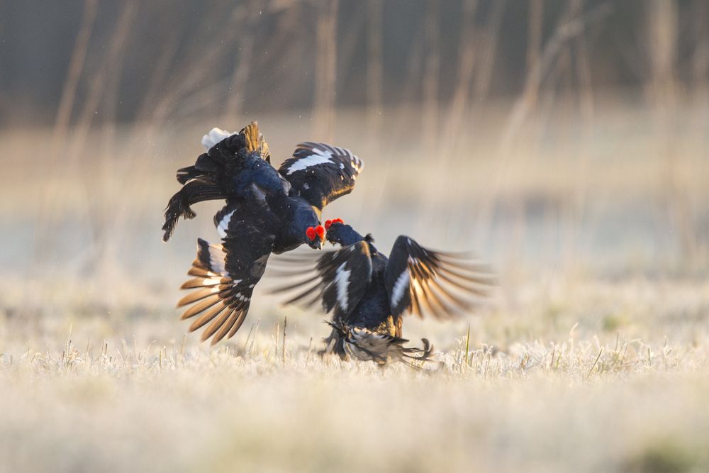 Photograph by Кулаков Юрий