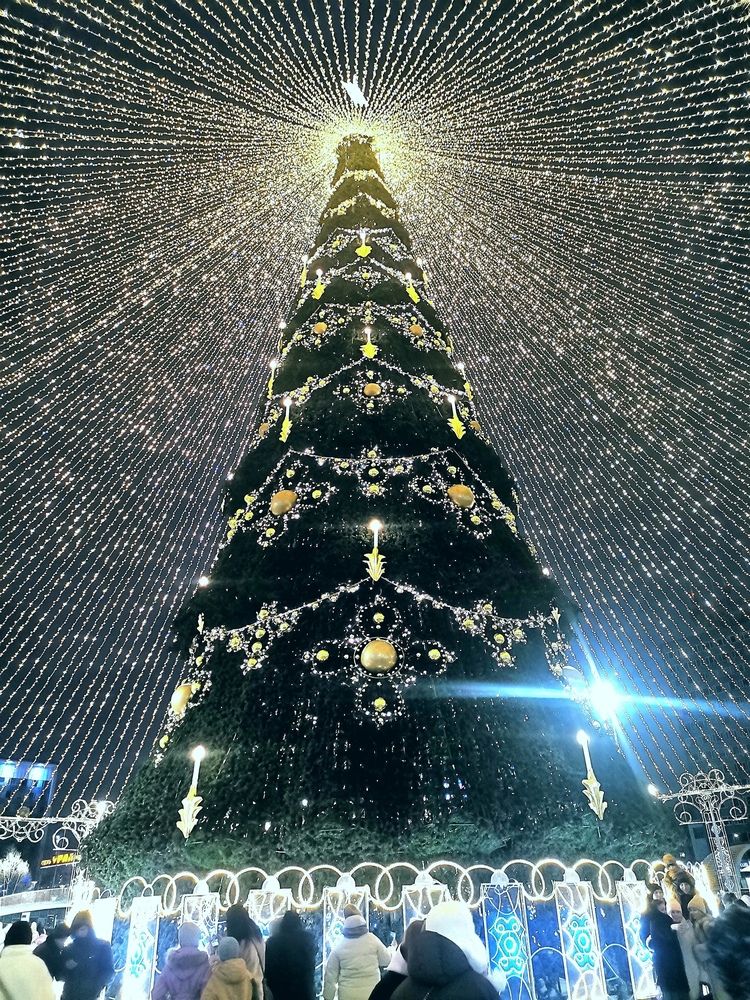 Photograph by Александр Бастраков