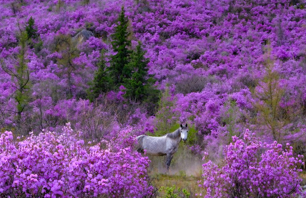 Фотография автора Ольга Челдыкова