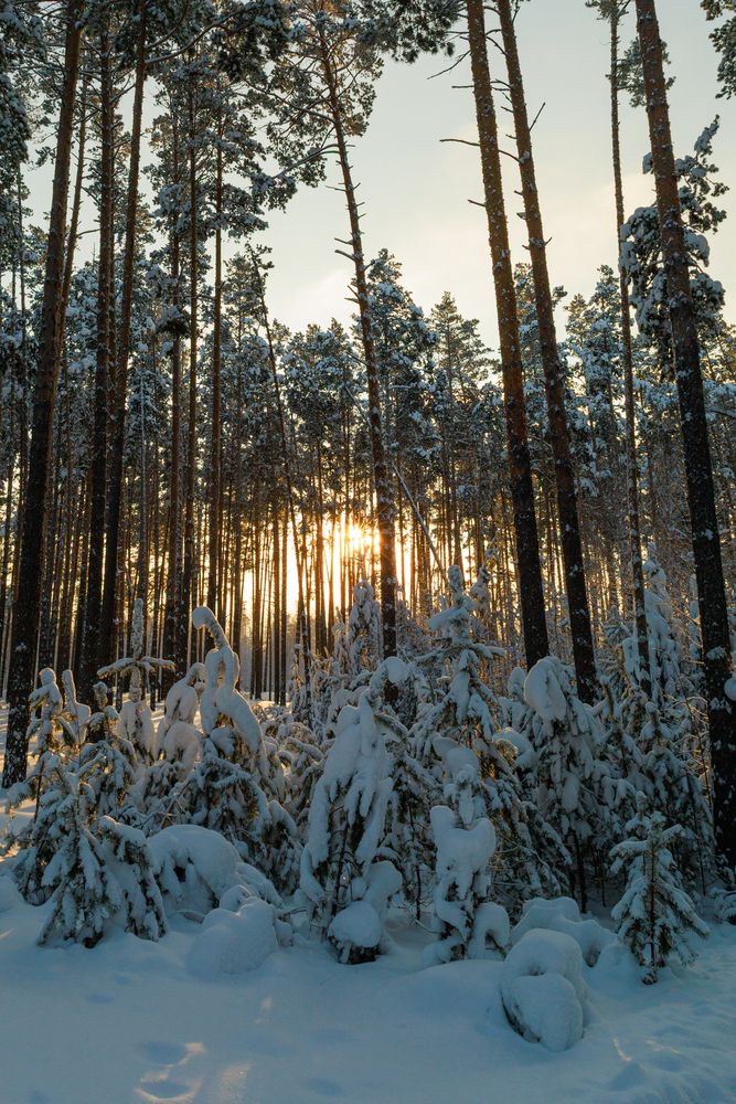 Photograph by Евгений Прокудин