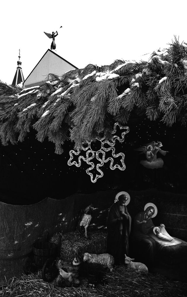 Фотография автора Елена Лаврова