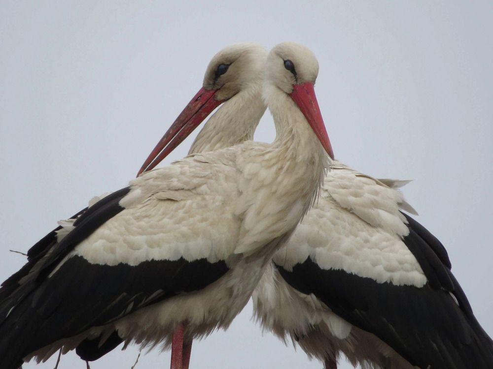 Photograph by Лариса Басова