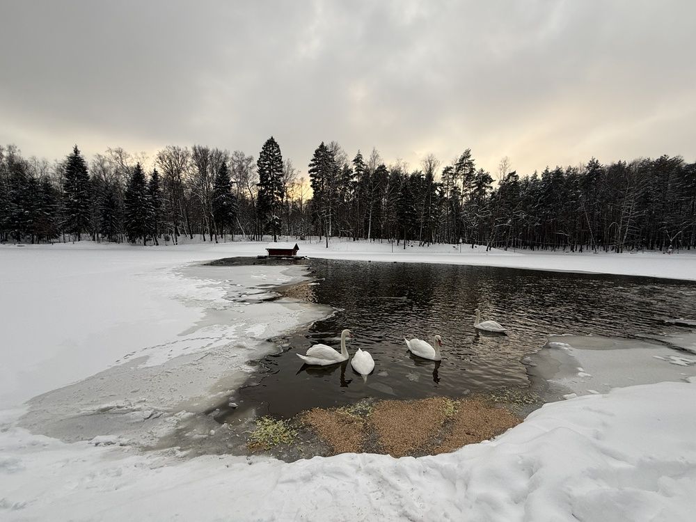 Photograph by Светлана Парамонова