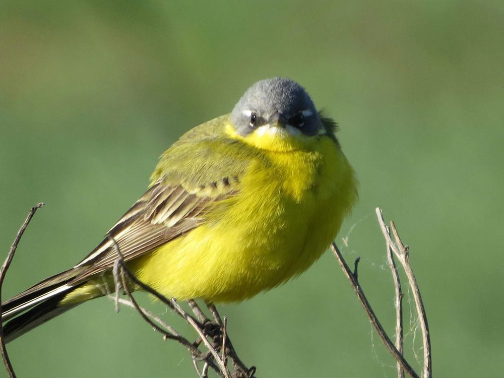 Photograph by Лариса Басова