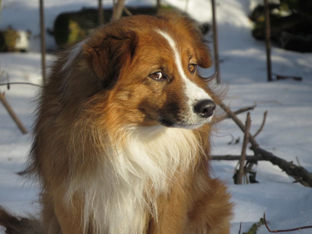 Photograph by Лариса Басова