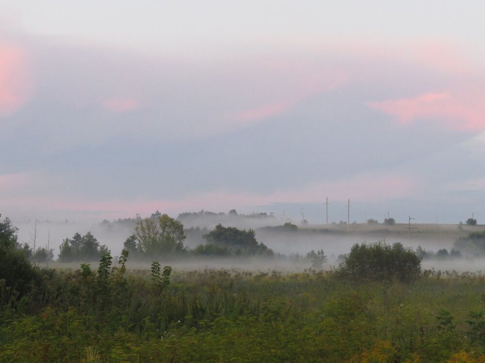 Photograph by Лариса Басова