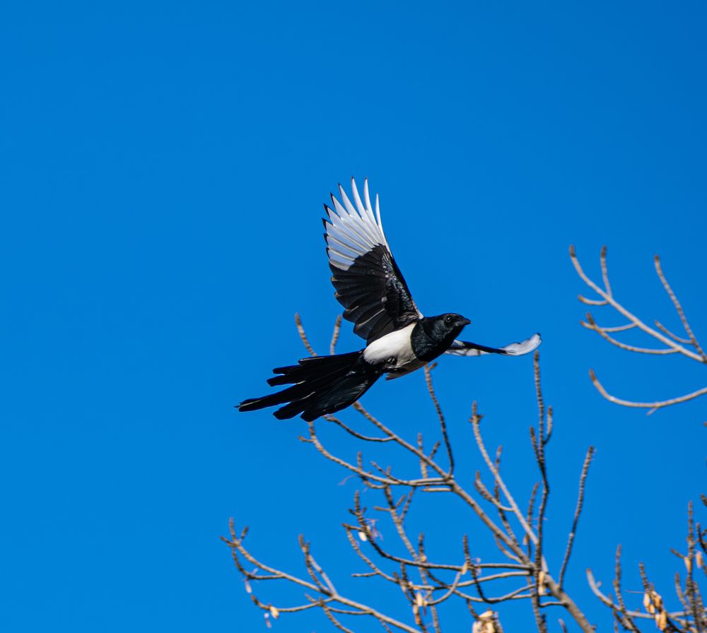 Photograph by Alena Redko