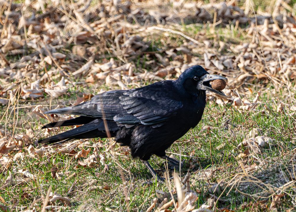 Photograph by Alena Redko