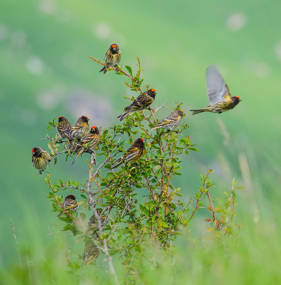 Photograph by Хасан Журтов