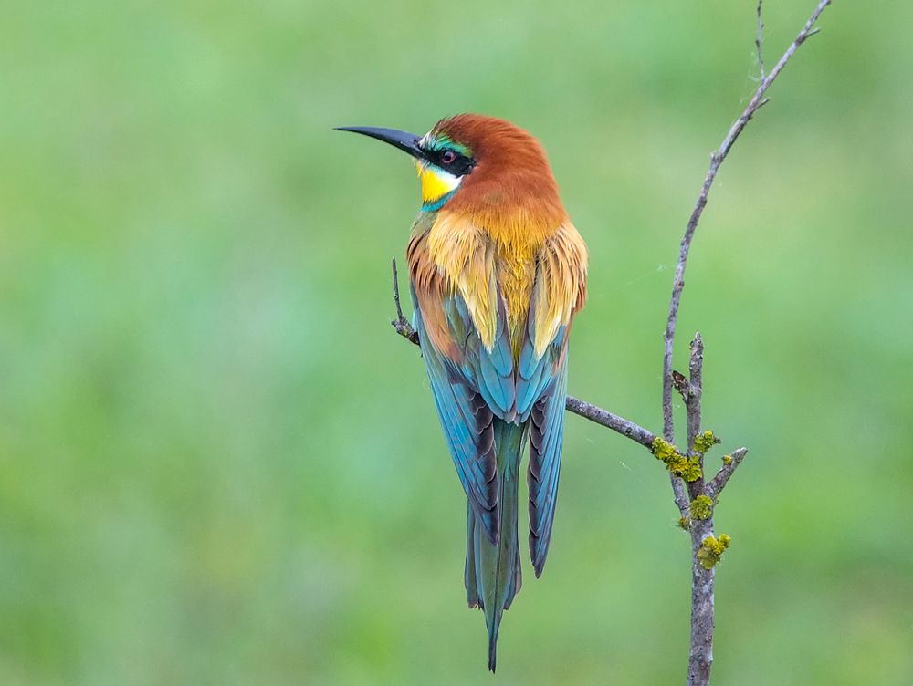 Photograph by Хасан Журтов