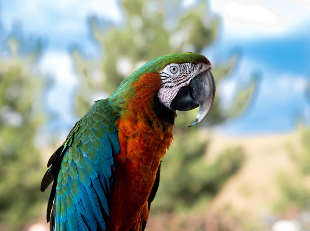 Photograph by Alena Redko