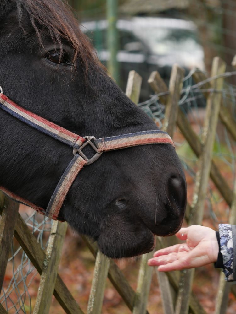 Фотография автора Владимир Лобанов