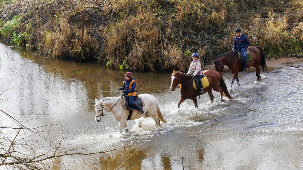 Фотография автора Владимир Лобанов