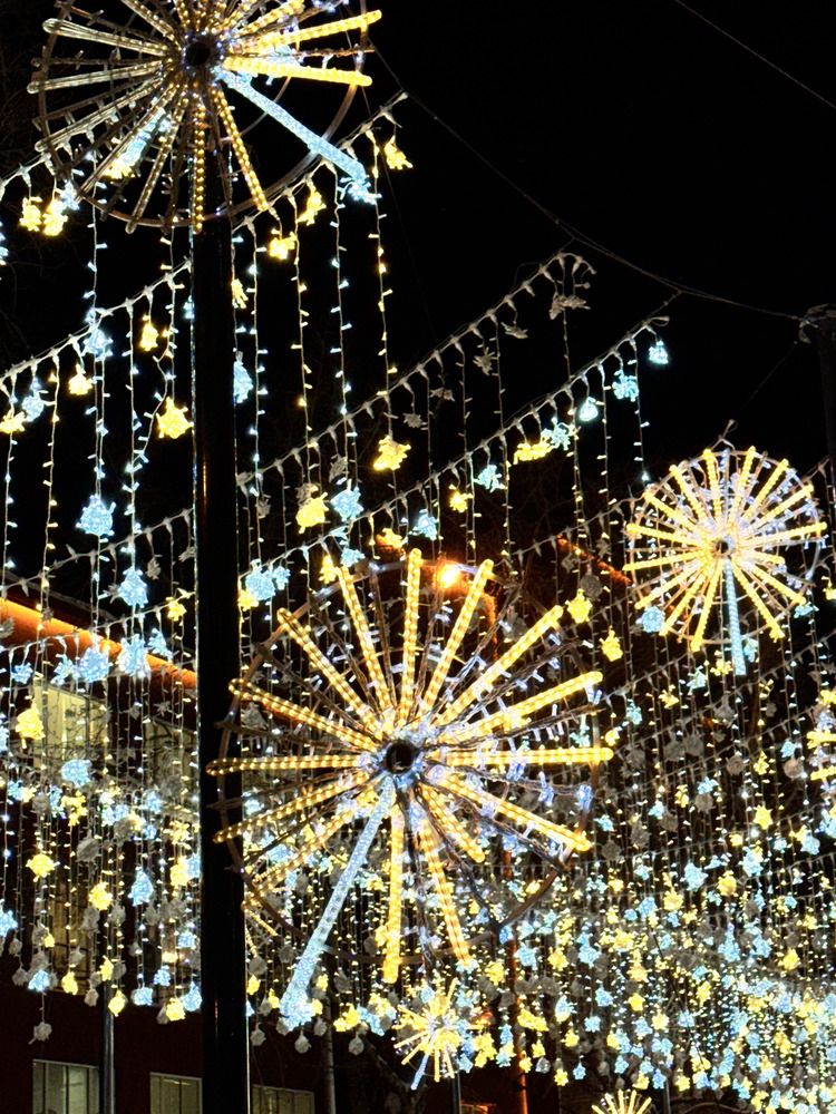 Фотография автора Галина Шиманцова