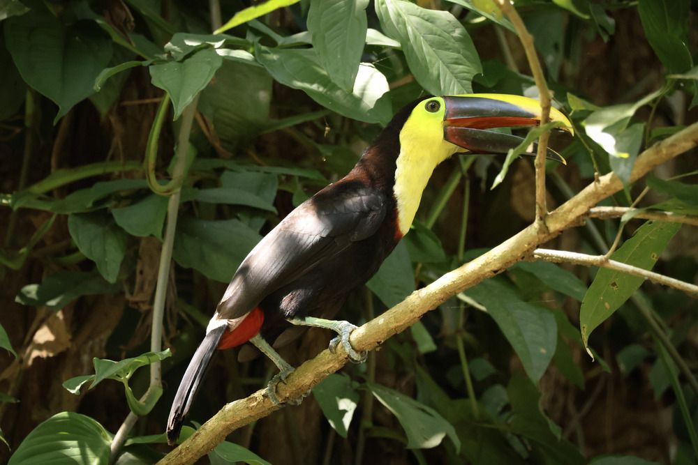 Photograph by Mauricio Mora Flores