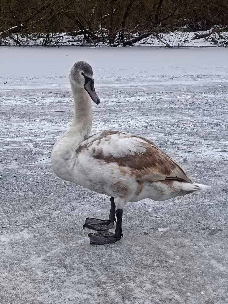 Photograph by Елена Пархоменко