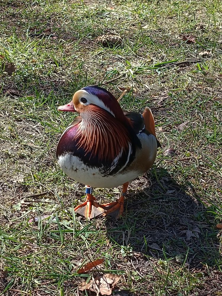 Photograph by Елена Пархоменко