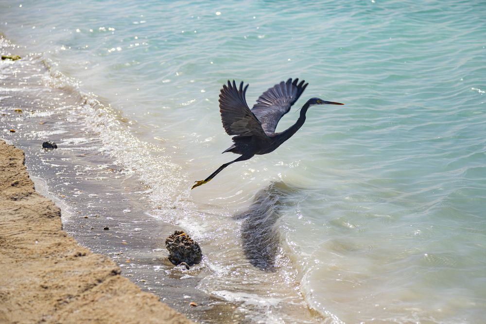 Photograph by Каргин Валерий