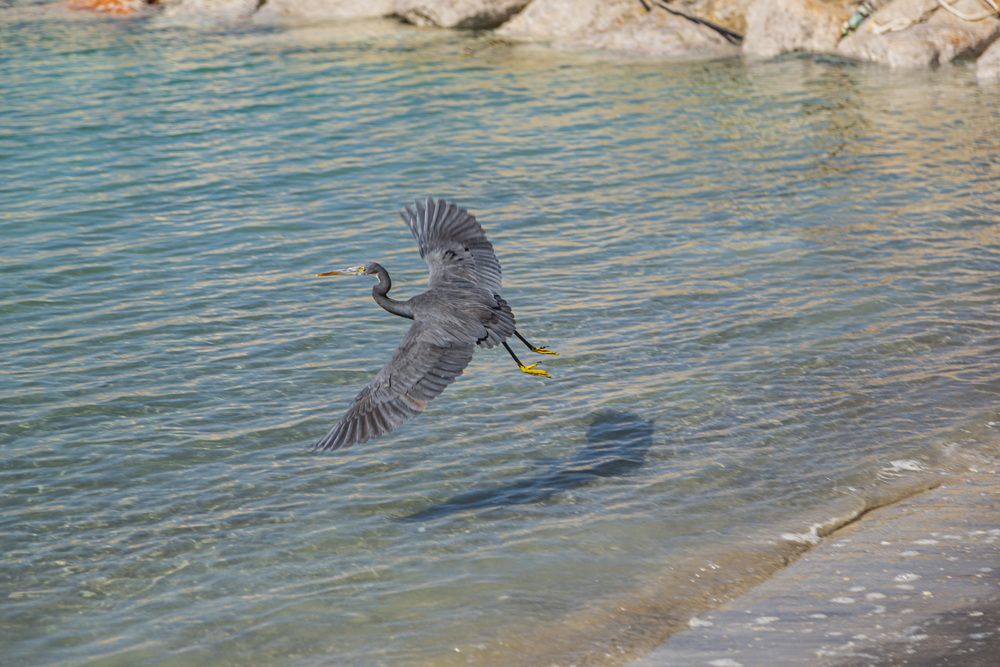 Photograph by Каргин Валерий