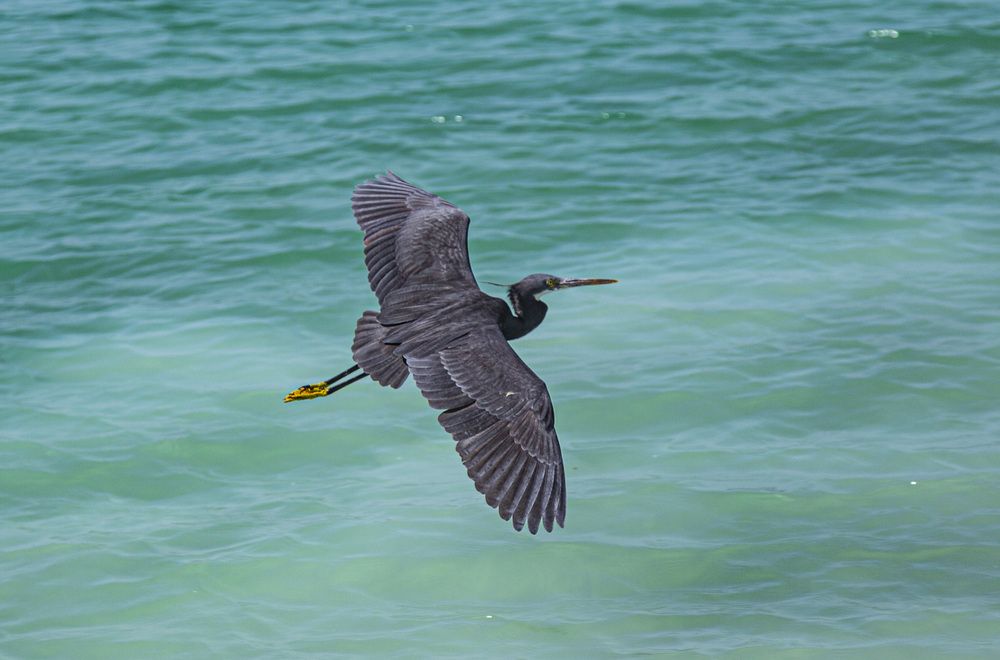 Photograph by Каргин Валерий
