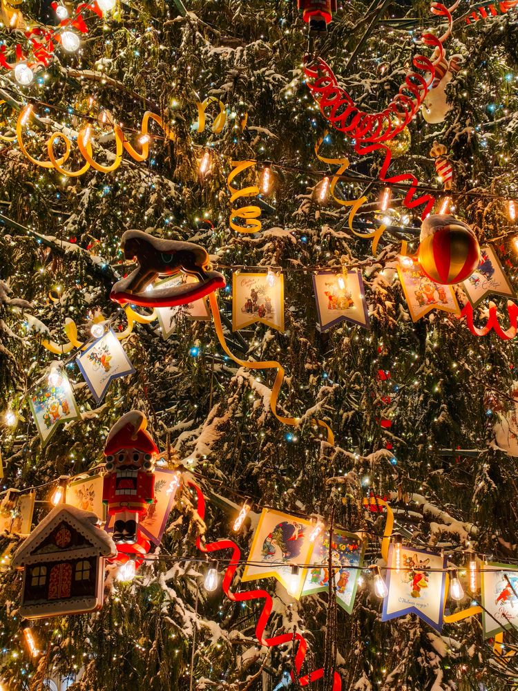 Фотография автора Олеся Непомнящих