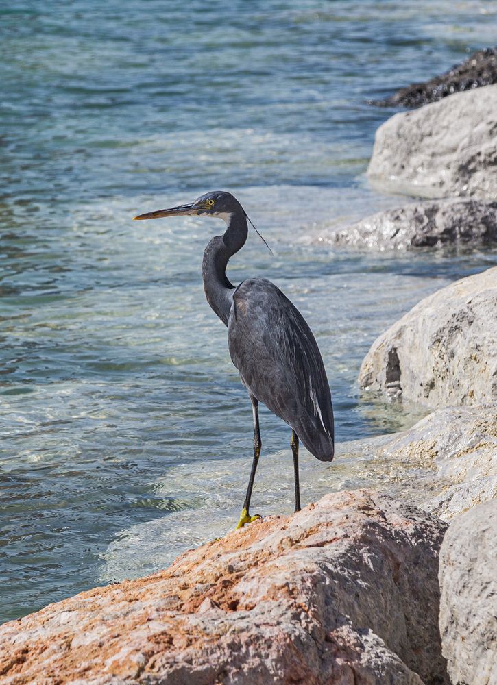 Photograph by Каргин Валерий