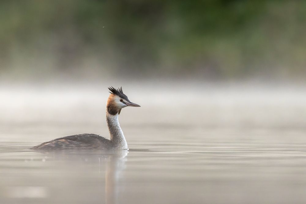 Photograph by Вера Машина