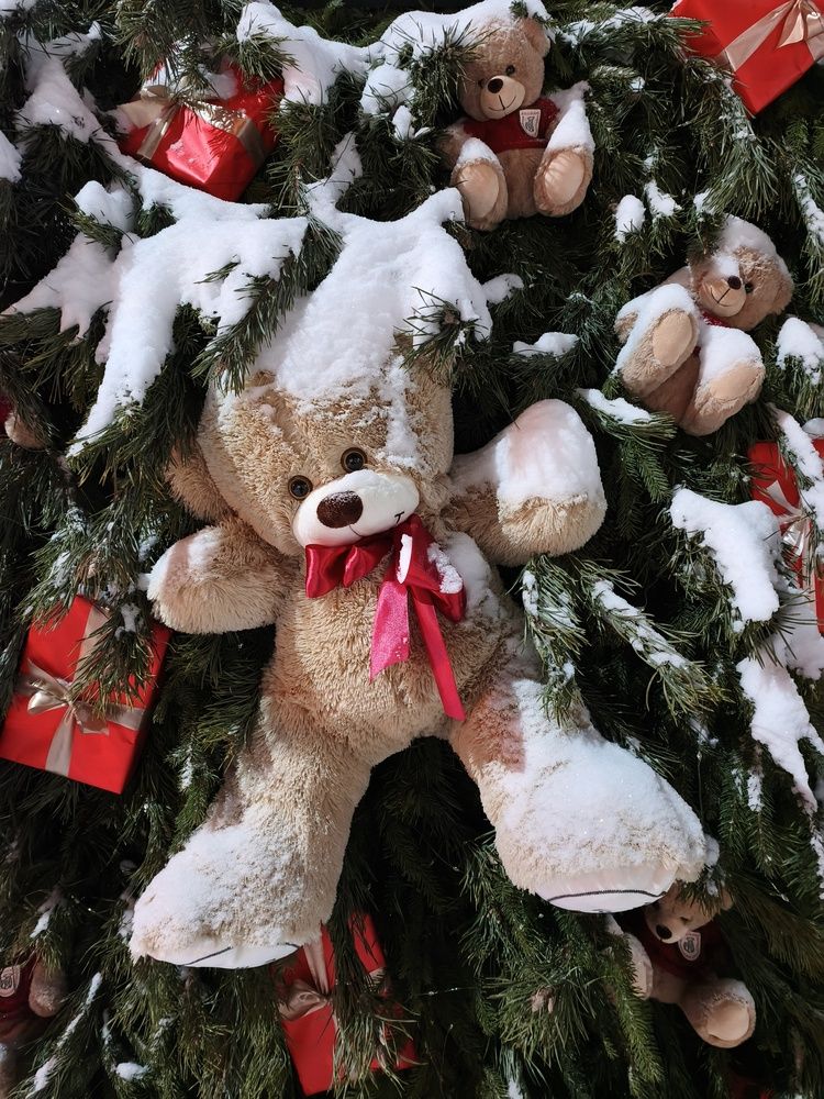 Фотография автора Леонид