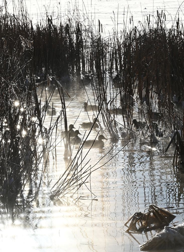 Photograph by Виктория Шабайкина