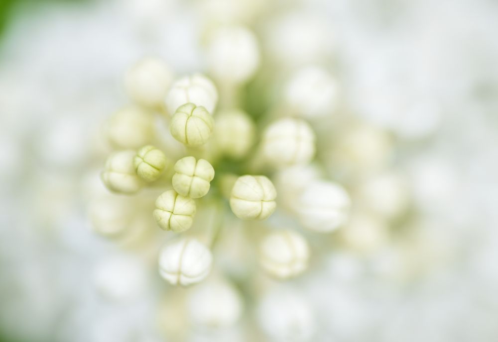 Photograph by Александра Плискова