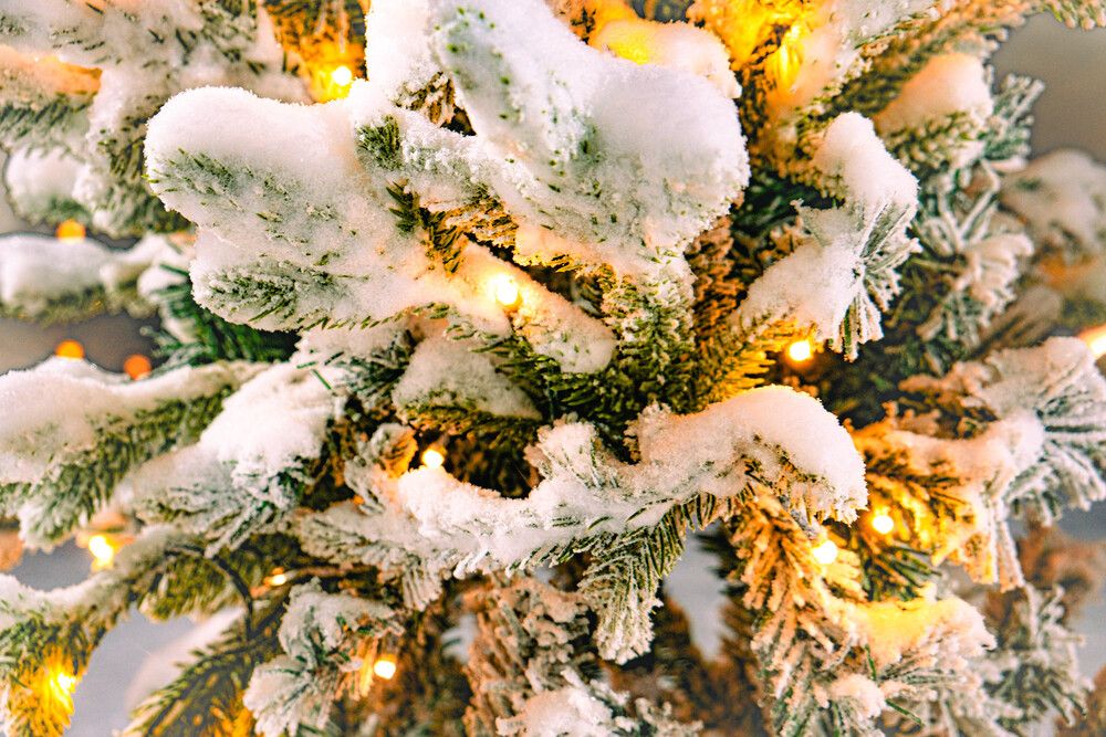 Photograph by Альберт Габбасов