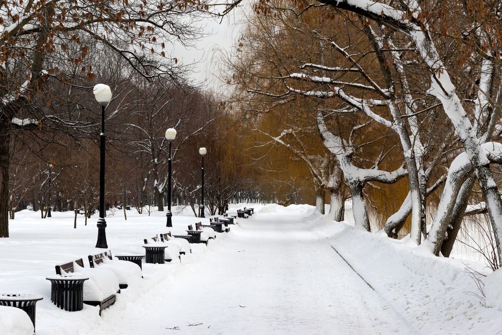 Photograph by Сергей Слукин