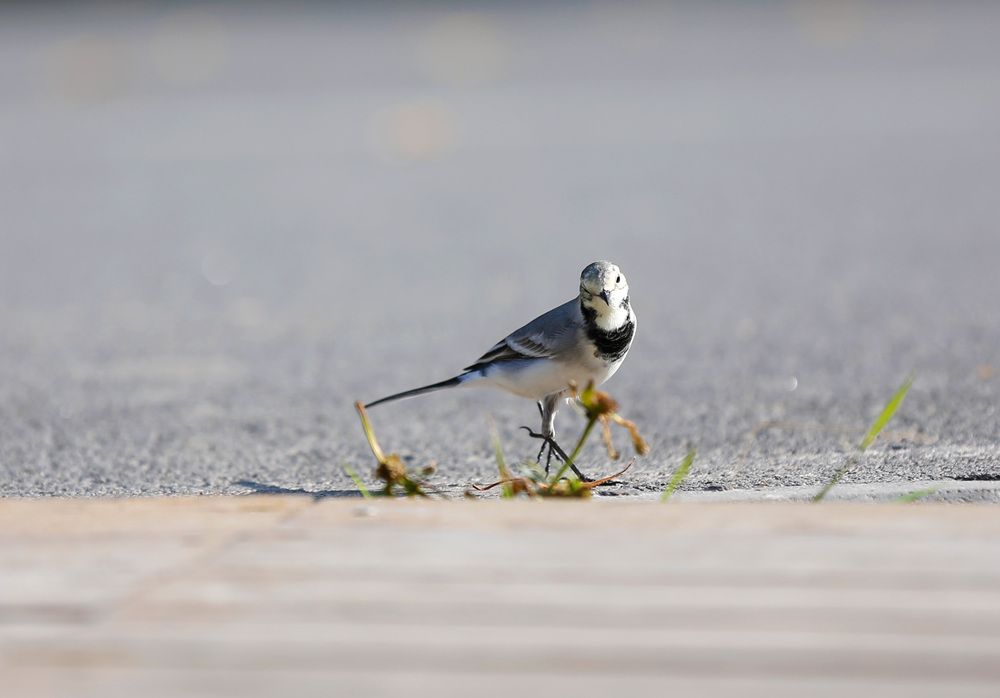Фотография автора Ольга Слотвинская