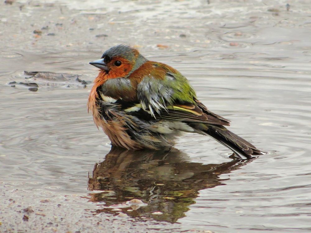 После водных процедур