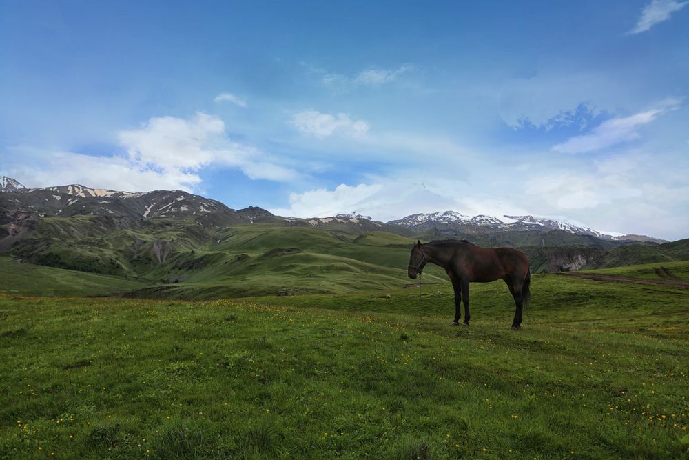 Photograph by Туева Наталья