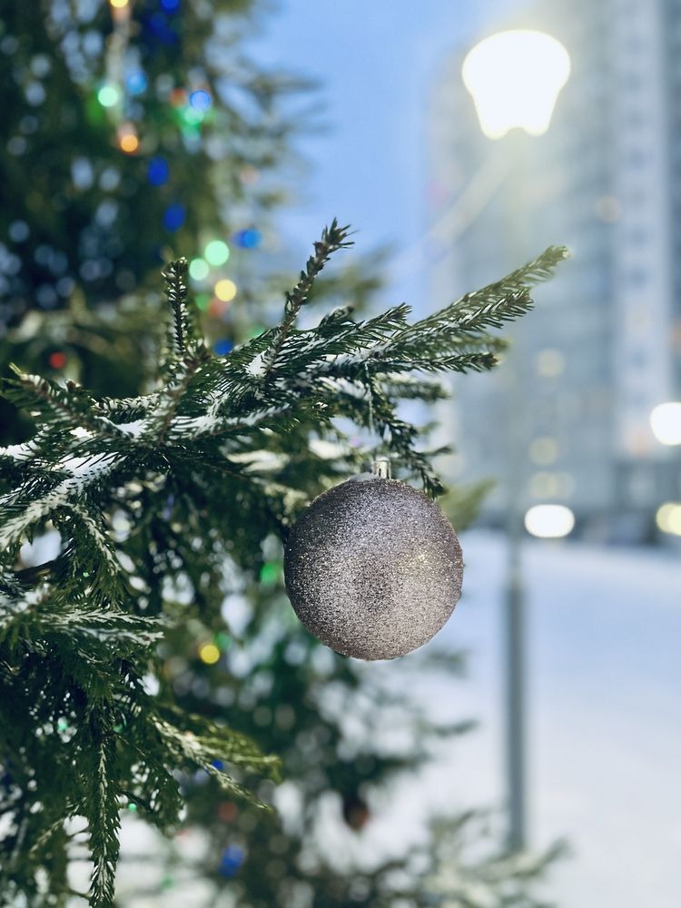 Фотография автора Регина Левикина