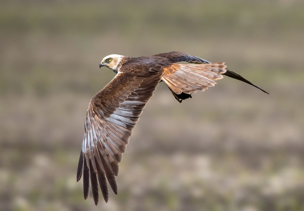 Photograph by Хасан Журтов