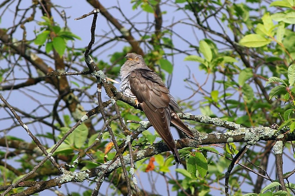 Photograph by Олег Сенников