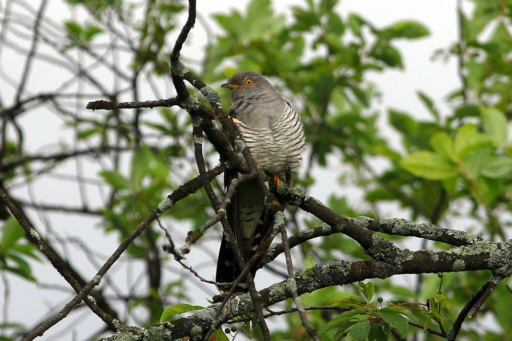 Photograph by Олег Сенников