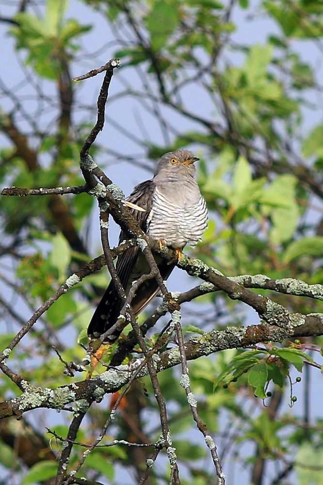 Photograph by Олег Сенников