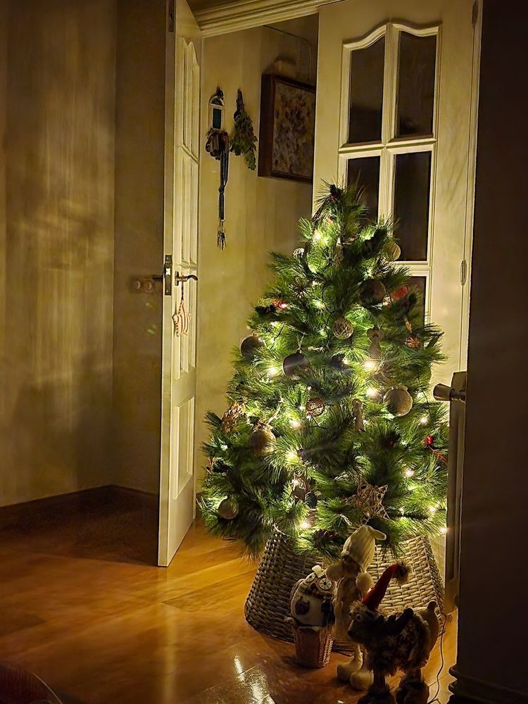 Photograph by Noemí Hornero Alonso