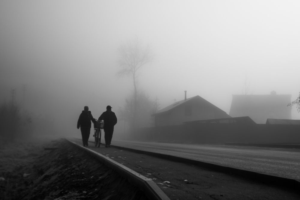 Photograph by Анна Шевардина